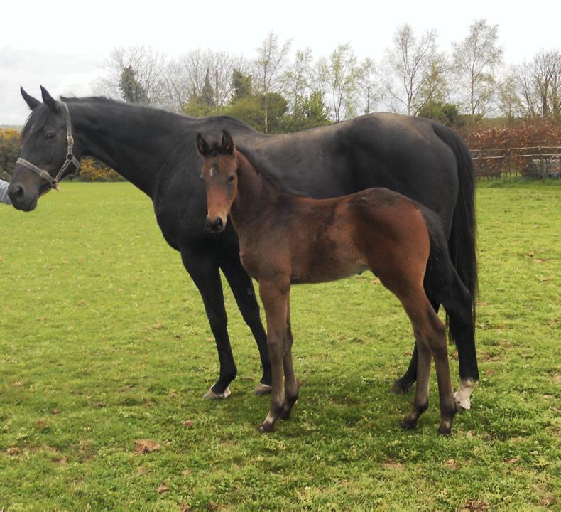 PICTURE DESK:  A round-up of  some of the week's best pictures