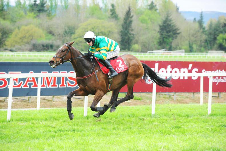 ITBA: Five Weatherbys ITBA BH Fillies Bonus winners in April