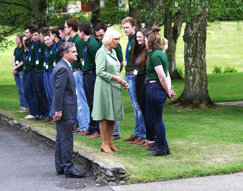 Equine welfare is everyone's concern