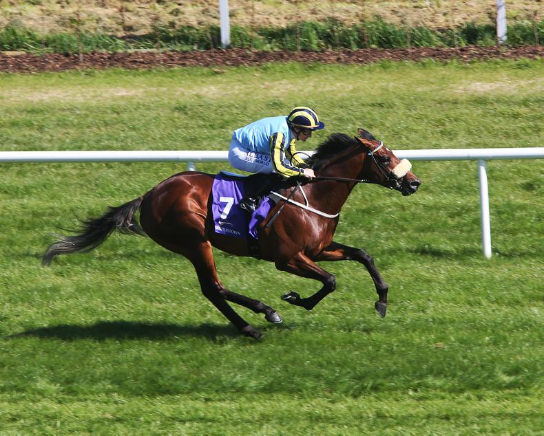Irishcorrespondent set for Irish Guineas assignment after Curragh triumph