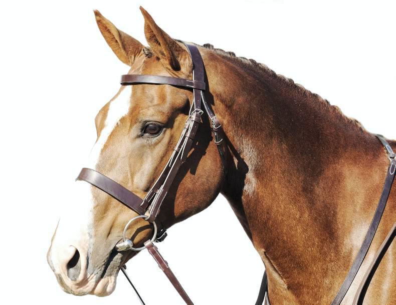 SPRING CLEANING: Are your saddles and tack in tip-top shape?