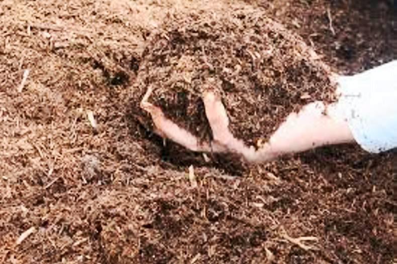 SPRING CLEANING: Getting rid of horse manure