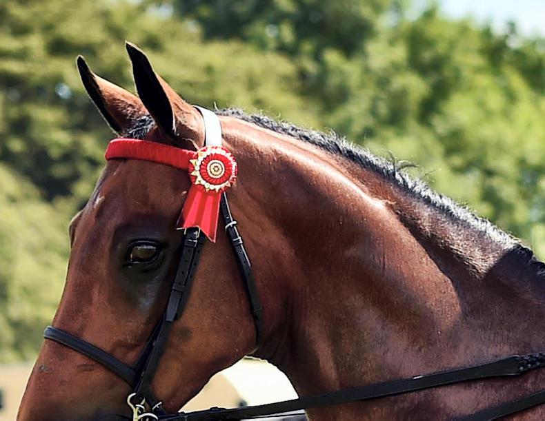 BALMORAL 2017: Side-saddle success for O'Gorman