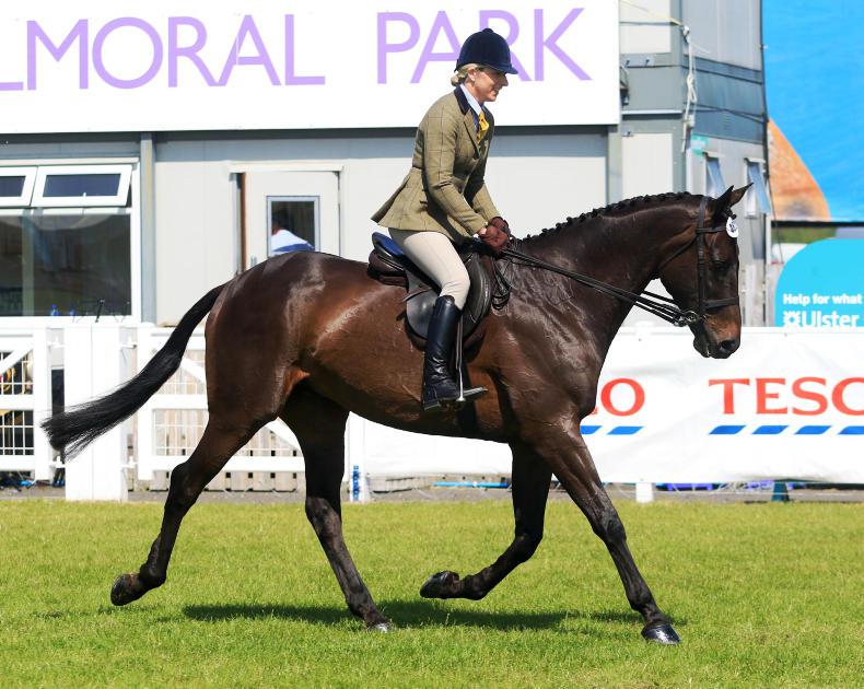 BALMORAL 2017: Winning debut for 10-time winner