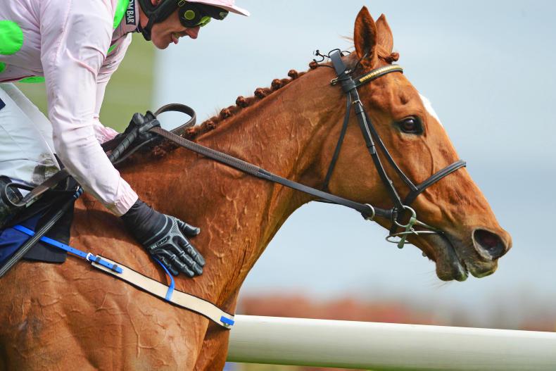 Annie Power tipped to break €1 million at auction