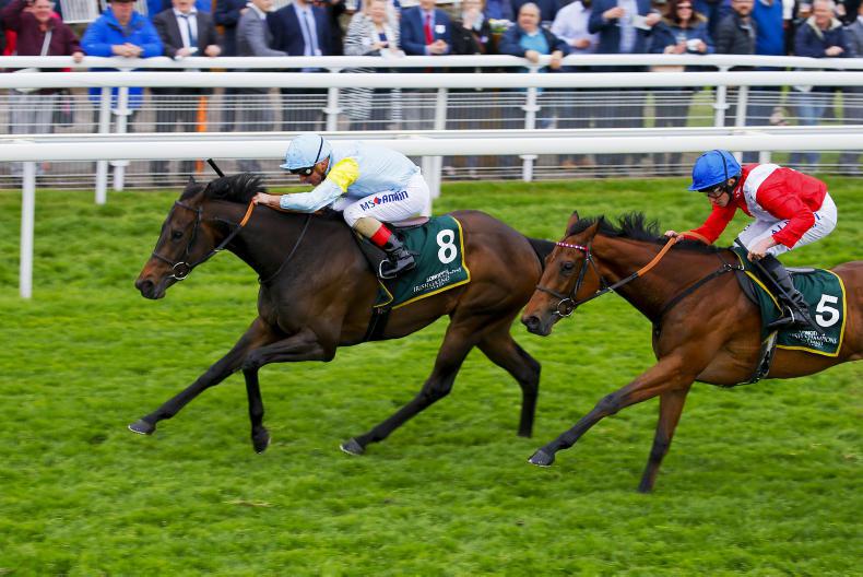 YORK FRIDAY: Main Desire looks very fast