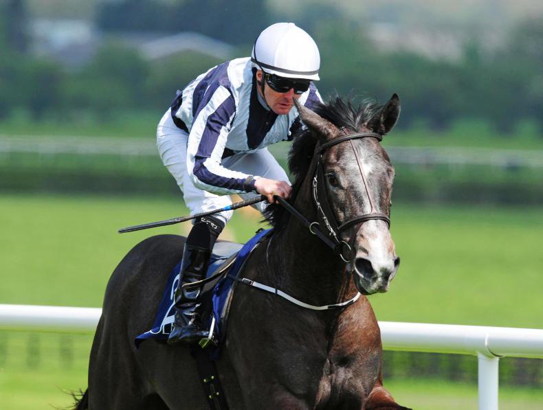 LADBROKES NAP TABLE: Selections for weekend 20/21th May