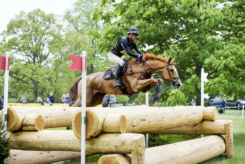 FEATURE: A race for the 2017 WBFSH eventing studbook title 