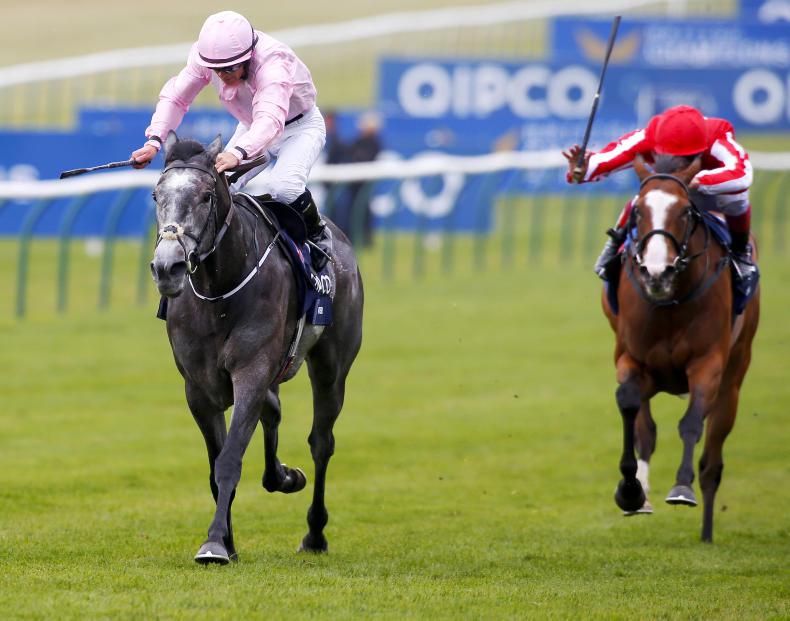 CURRAGH SUNDAY: Winter is coming