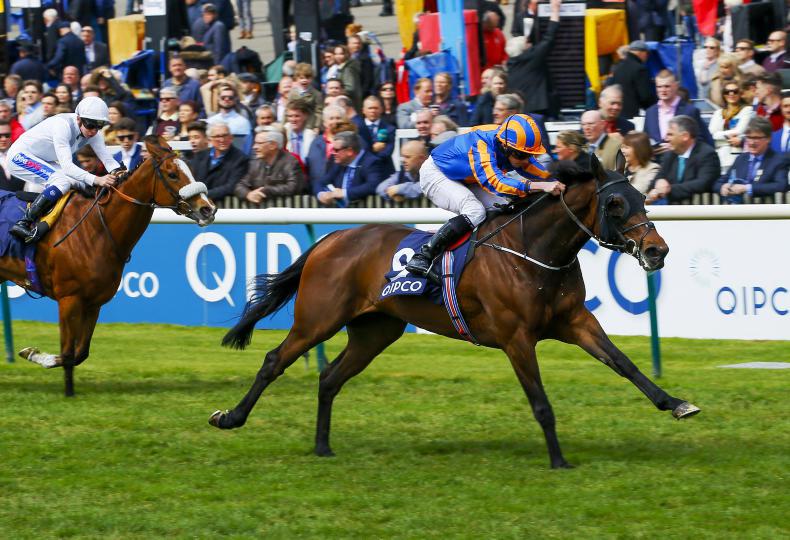 CURRAGH SUNDAY: Somehow has major chance in Minding's absence