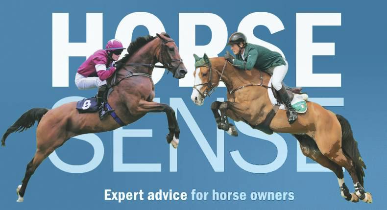 HORSE SENSE: Weekly tips                                               