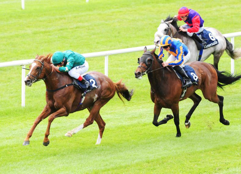 TATTERSALLS GOLD CUP: Knight continues Charlton's Decorated Irish record
