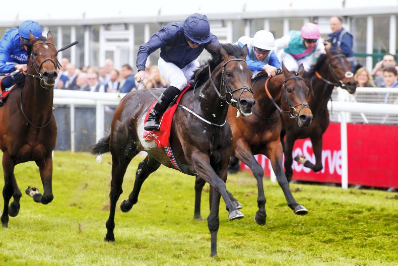 Cliffs Of Moher leads O’Brien charge in Derby