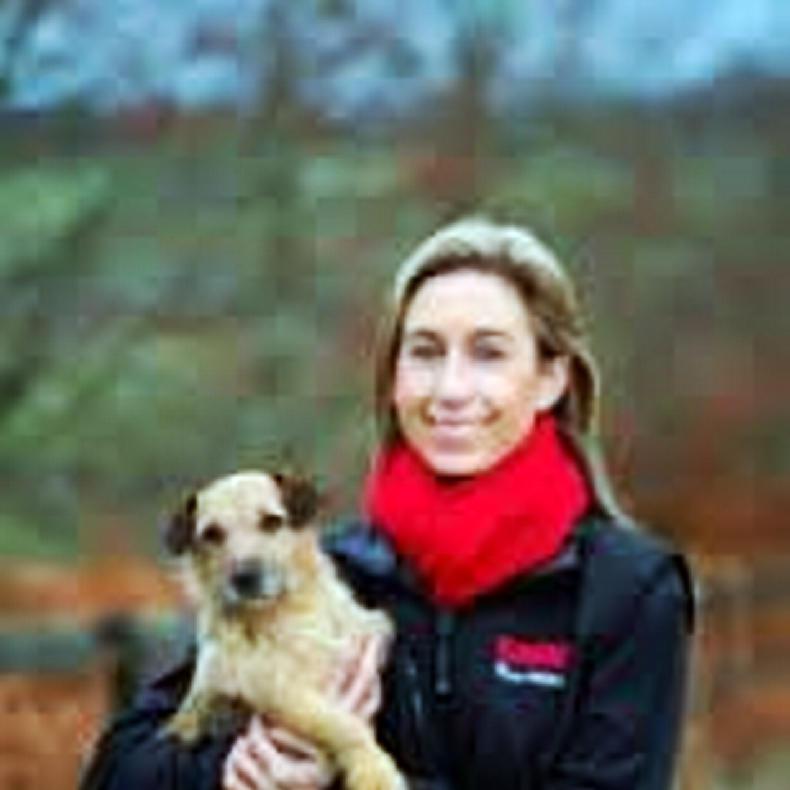 NEWS: Watt joins Plusvital    