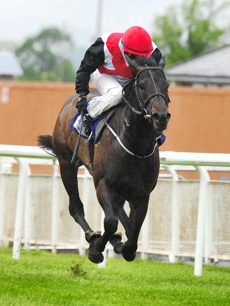 Brother Bear to star at Ascot 