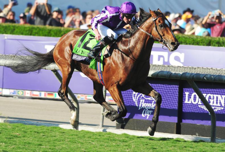 Brotherly love set to one side as Highland Reel and Idaho face off at Epsom