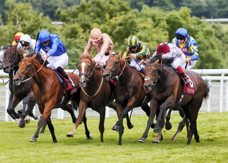 Haggas has Curragh in mind for Dal Harraild