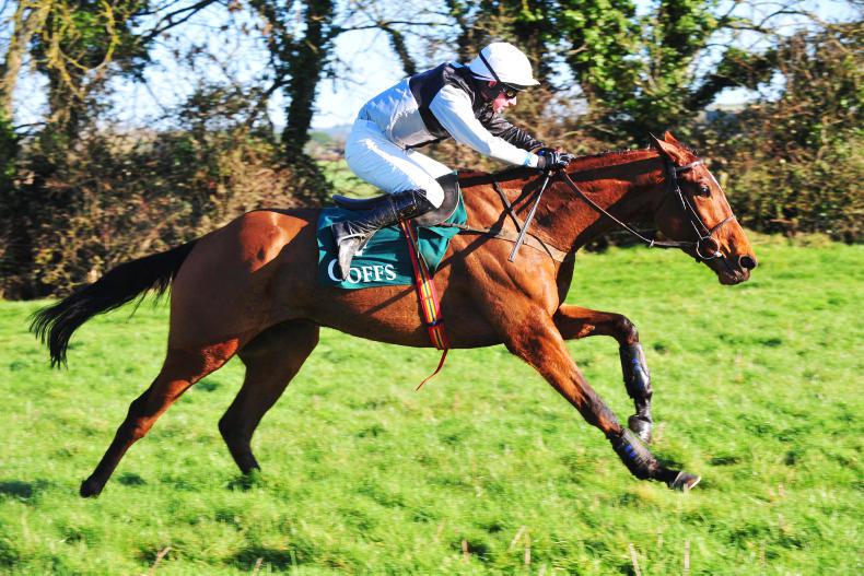 FUTURE STARS: Flemenshill to follow star path