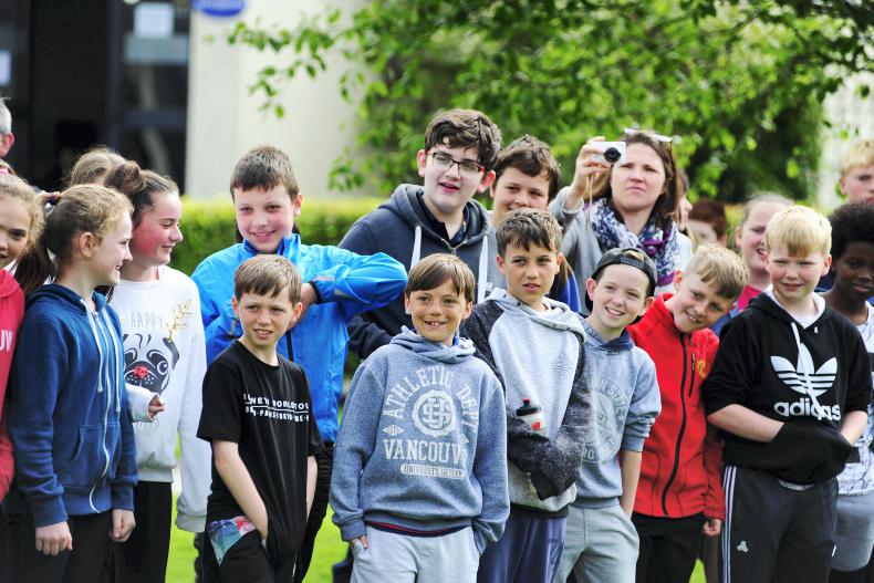 PAT HEALY: Don't knock the Curragh which will be majestic