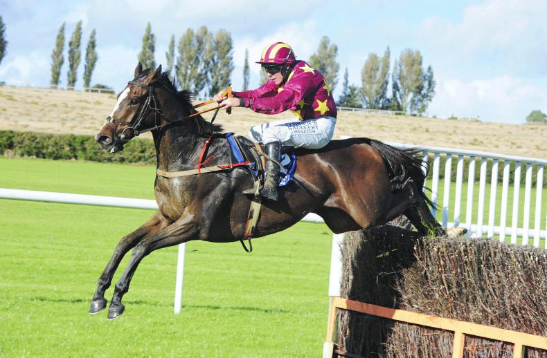 TRAMORE SATURDAY: Heron can hit Heights off favourable mark