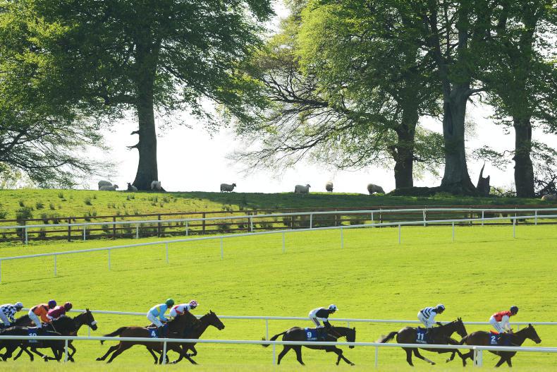 BALLINROBE MONDAY: Fahey's Diesel powers home for a local success