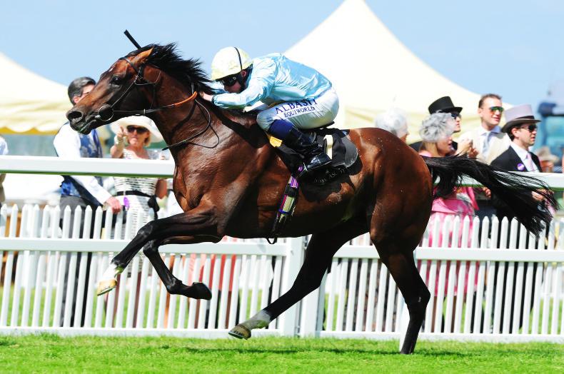 Arab Spring on offer at Tatteralls