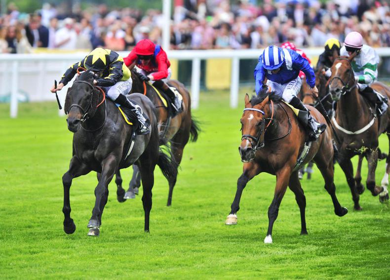 FRANCE: Muthmir was magic                            