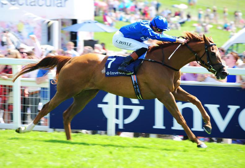 PEDIGREE NOTES: Dubawi filly has Group 1 potential