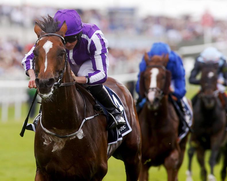 Forget the Lions - send Highland down under