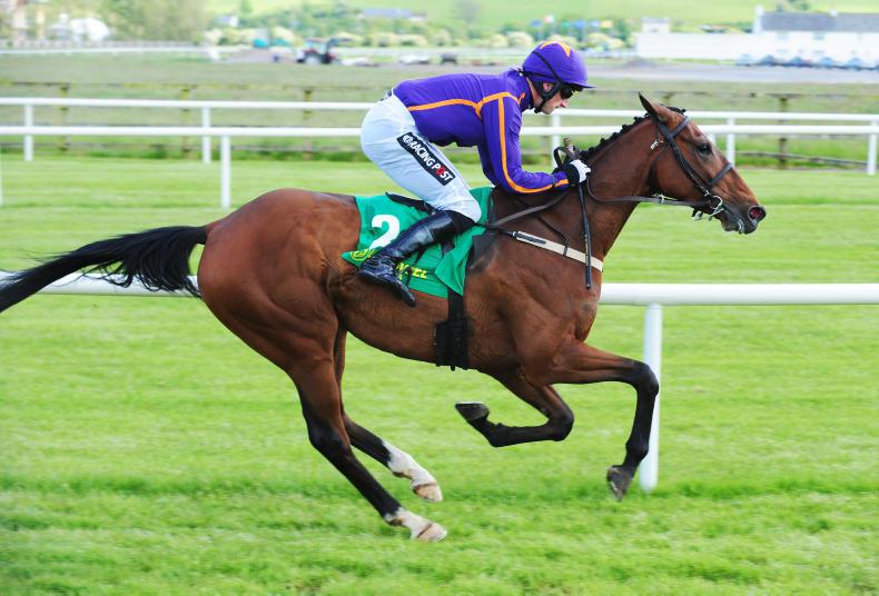 Sir Mark Prescott's St Michel denied by Red Cardinal in Belmont Gold Cup