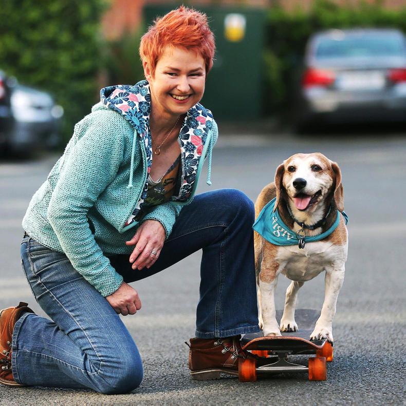 HORSE SENSE DOG FOCUS: Modern methods of dog training