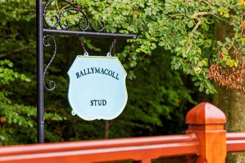 Ballymacoll Stud to be auctioned next month