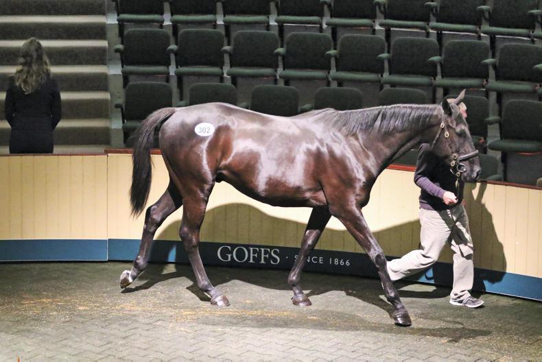 SALES: Balko's son tops superb Land Rover Sale