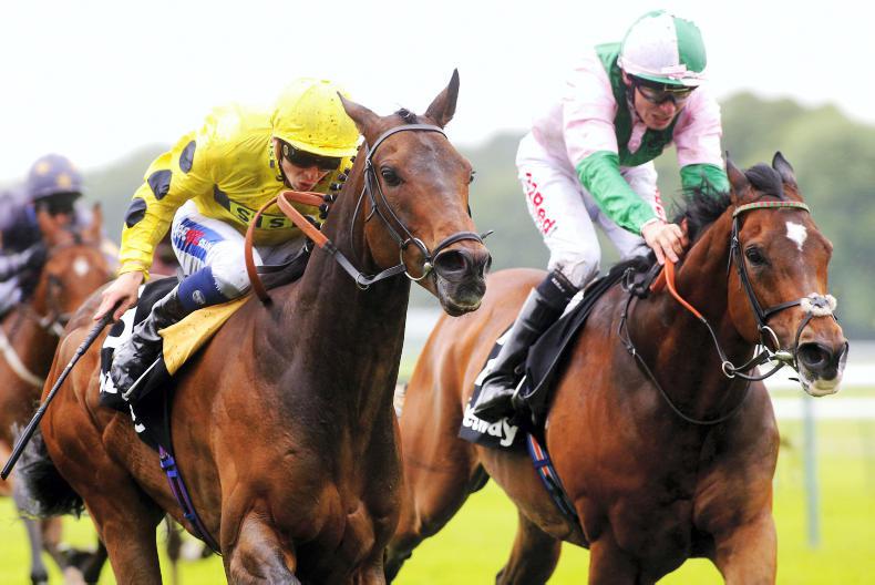 PEDIGREE NOTES: Grade 1 double for Galileo stallions