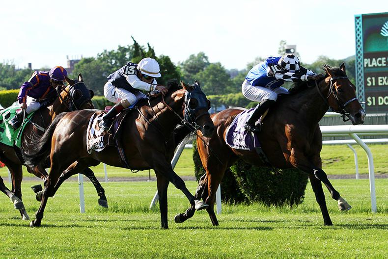 AMERICA: Red Cardinal strikes Gold