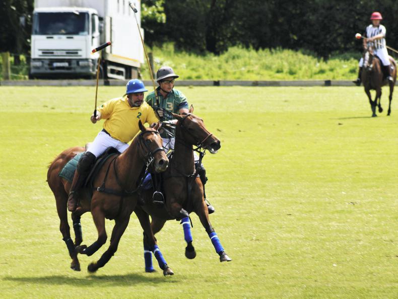 AROUND THE COUNTRY:  Pegus takes flight at Bunclody