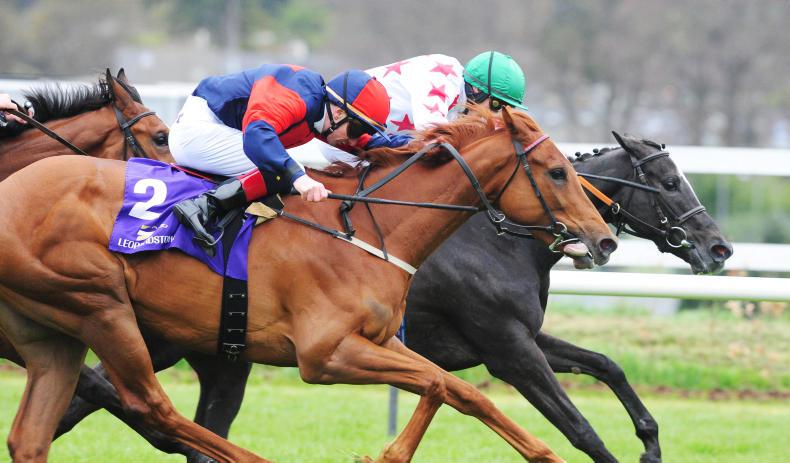 CORK SUNDAY: Bengala to give Oxx an Oaks                            