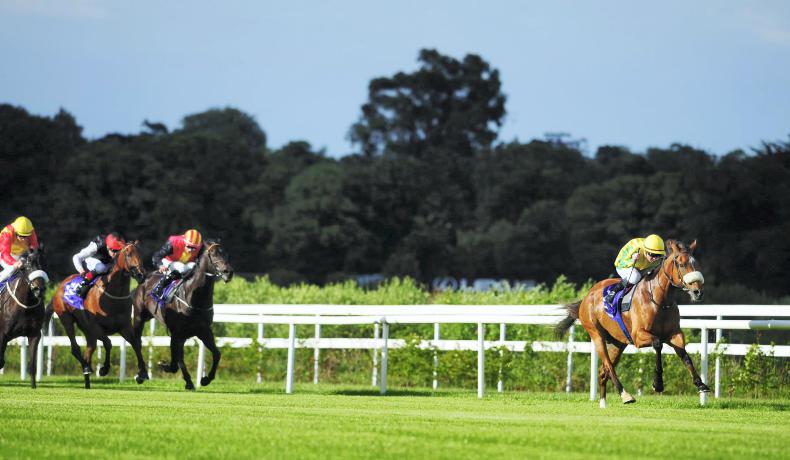 SIMON ROWLANDS: Evergreen Brackan can win at Group 3 level again