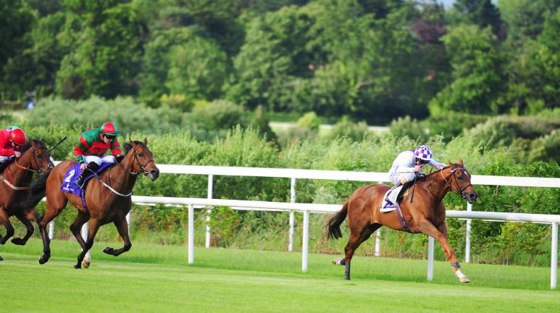 LEOPARDSTOWN THURSDAY: Risk takes Flight for Bolger in the Ballycorus