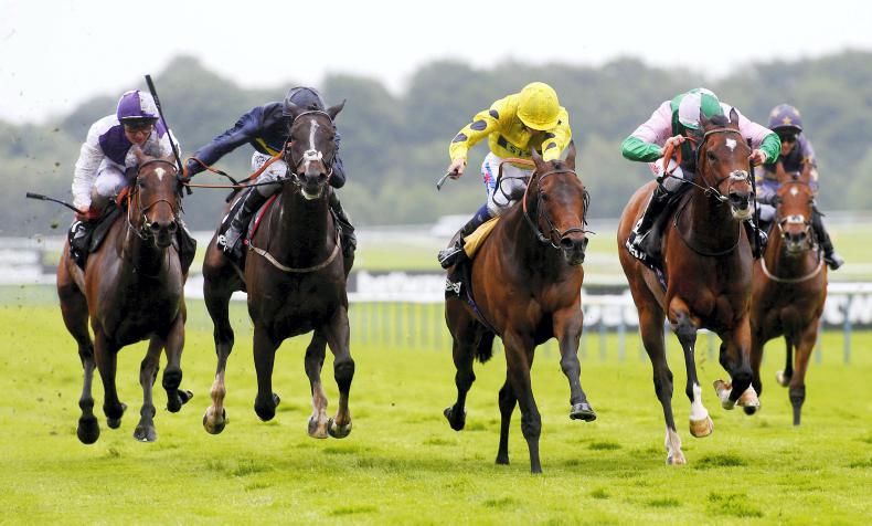 BRITAIN: French raider Bateel may have Champions Day target