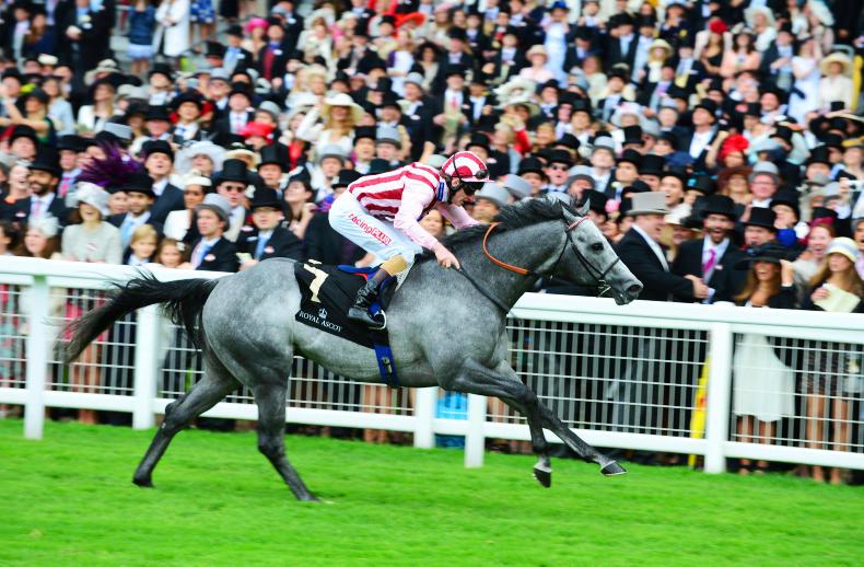 FRESHMAN SIRES: Winners this week for six sires