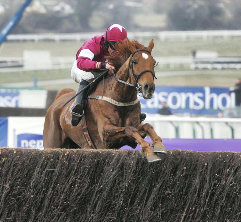 TATTERSALLS DERBY SALE PREVIEW: Exceptionally high quality in young pretenders