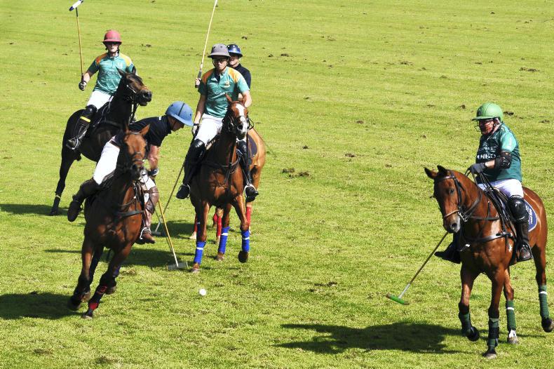 AROUND THE COUNTRY:  Team Horseware takes the spoils