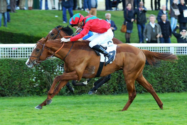Irish Derby on the agenda for French colt Waldgeist