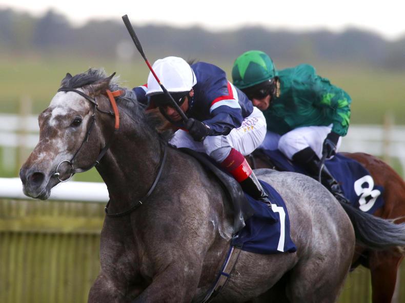 BRITISH PREVIEW: Magical Memory to sparkle in Jubilee 