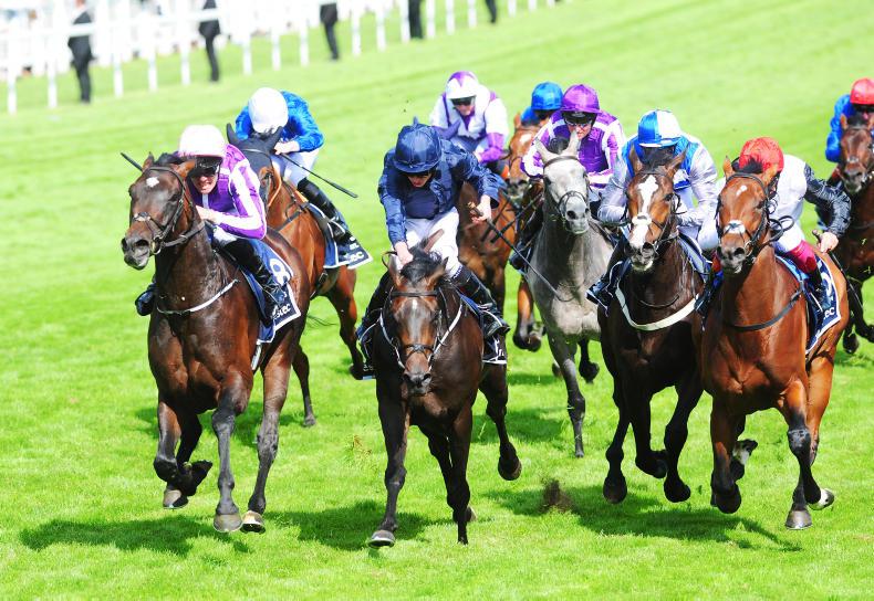 Epsom duo plus French ace to meet in Irish Derby