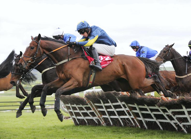 LADBROKE NAP TABLE: Selections for weekend June 24/25th