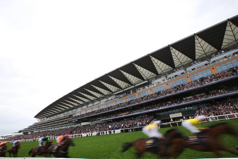 ROYAL ASCOT: Pedigrees of the blacktype winners