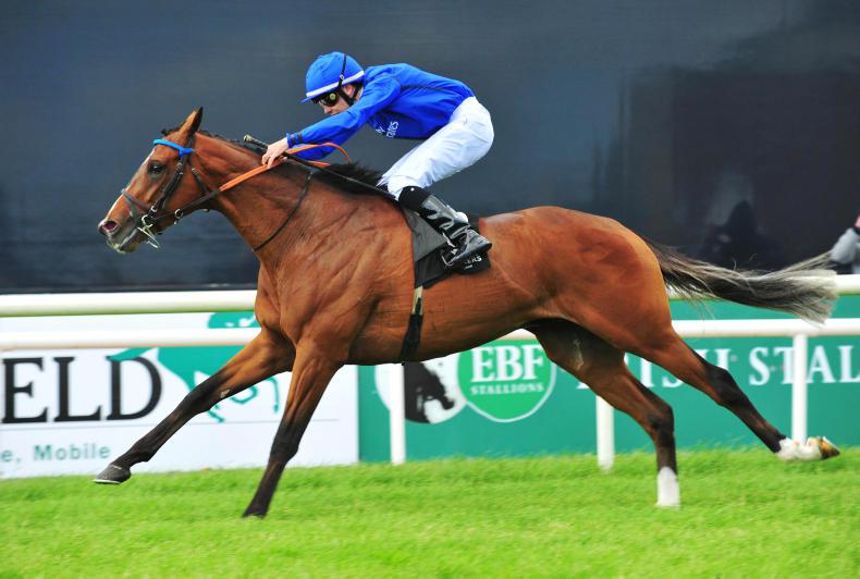 DOWN ROYAL SATURDAY: Clongowes' turn at last