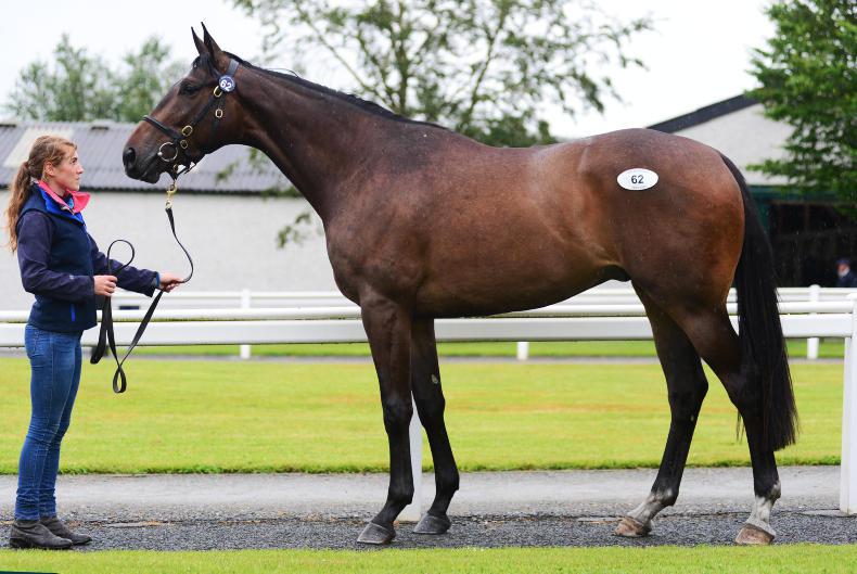 SALES: Middle market driving force of the sale